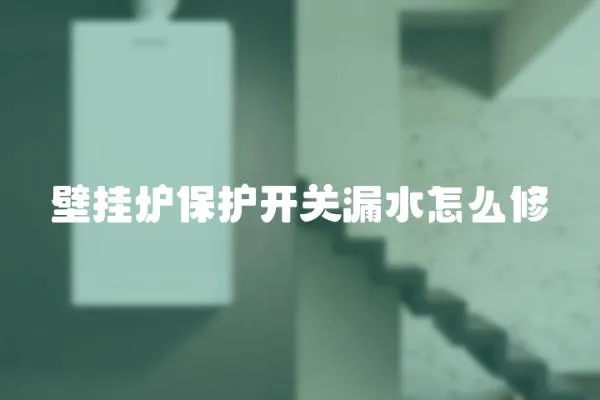 壁掛爐保護開關漏水怎么修