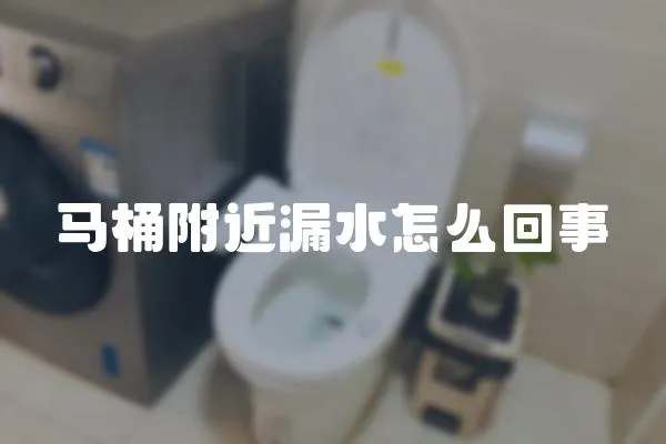 馬桶附近漏水怎么回事