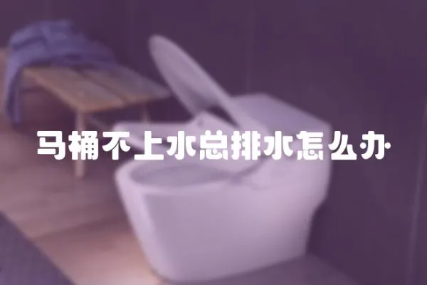 馬桶不上水總排水怎么辦