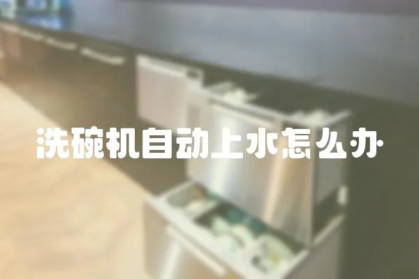 洗碗機自動上水怎么辦