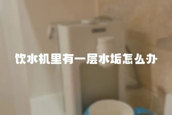 飲水機里有一層水垢怎么辦