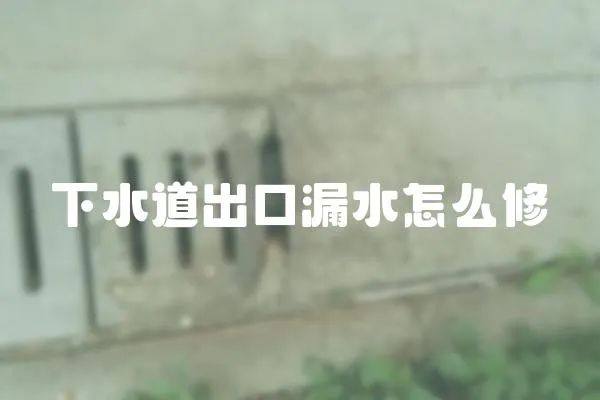 下水道出口漏水怎么修