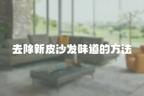 去除新皮沙發(fā)味道的方法