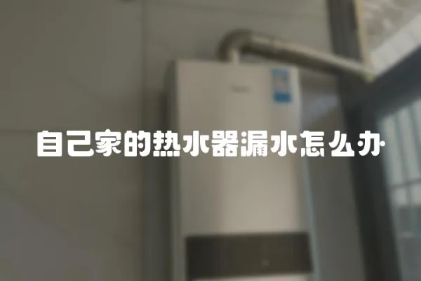 自己家的熱水器漏水怎么辦
