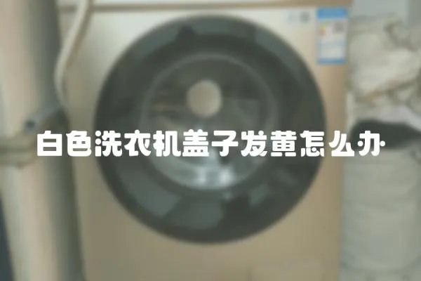 白色洗衣機蓋子發黃怎么辦