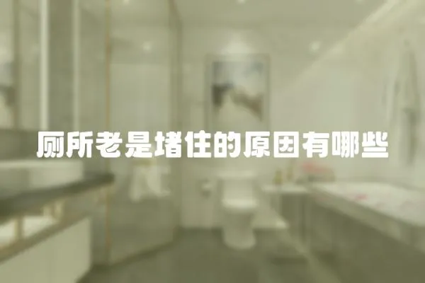 廁所老是堵住的原因有哪些