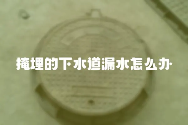 掩埋的下水道漏水怎么辦