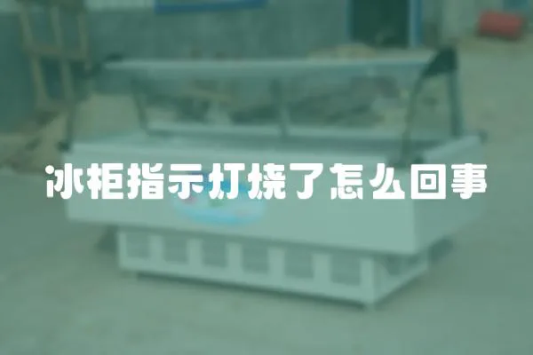 冰柜指示燈燒了怎么回事