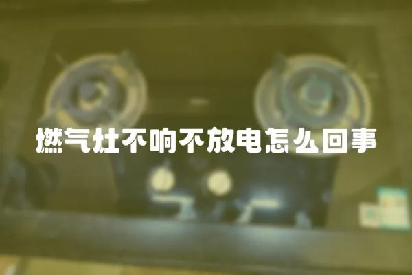 燃?xì)庠畈豁懖环烹娫趺椿厥?></a></div>
                    </div>
                    <div   id=