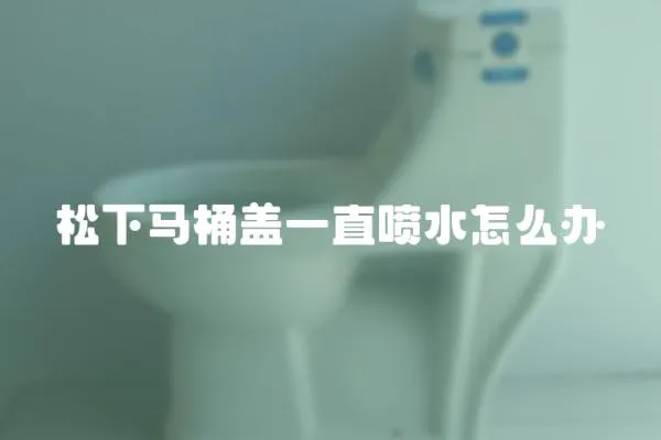 松下馬桶蓋一直噴水怎么辦
