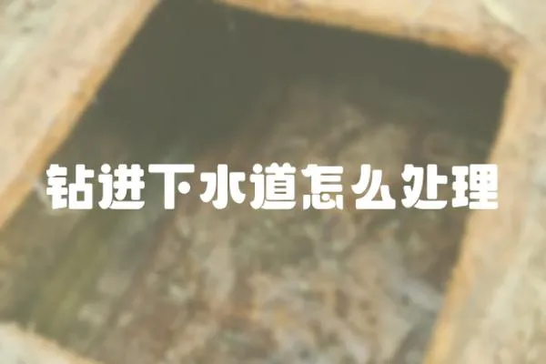 鉆進下水道怎么處理