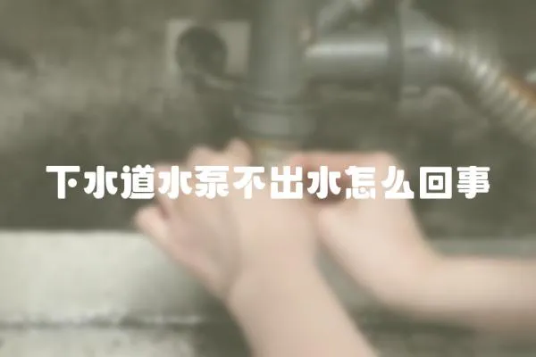 下水道水泵不出水怎么回事