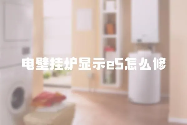 電壁掛爐顯示e5怎么修