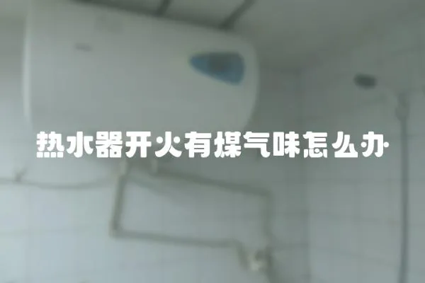 熱水器開火有煤氣味怎么辦