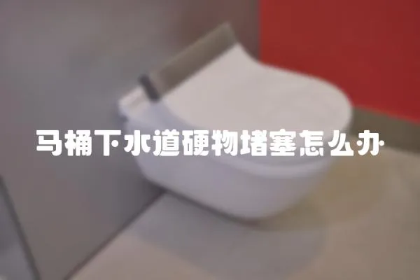 馬桶下水道硬物堵塞怎么辦
