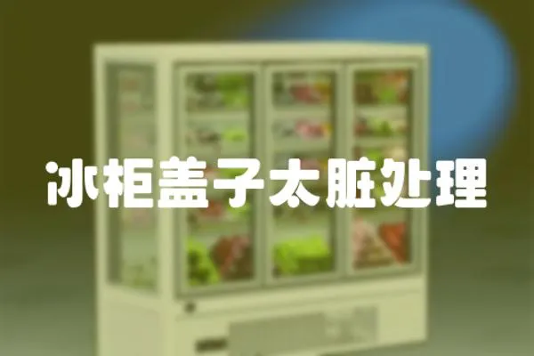 冰柜蓋子太臟處理