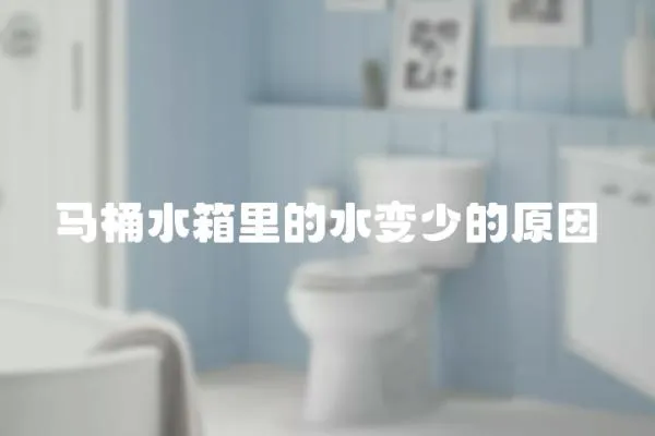馬桶水箱里的水變少的原因