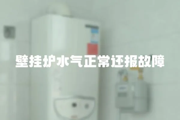 壁挂炉水气正常还报故障