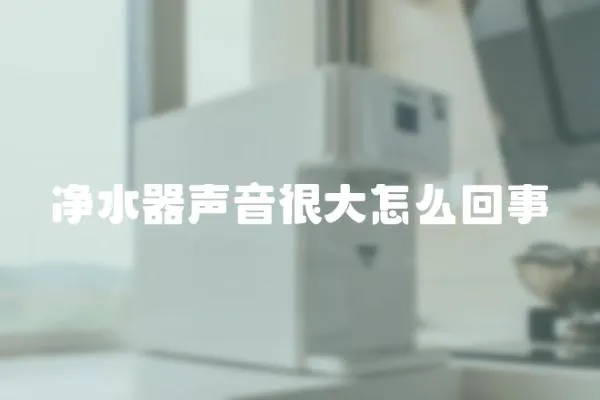 净水器声音很大怎么回事