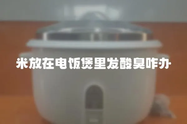 米放在電飯煲里發(fā)酸臭咋辦