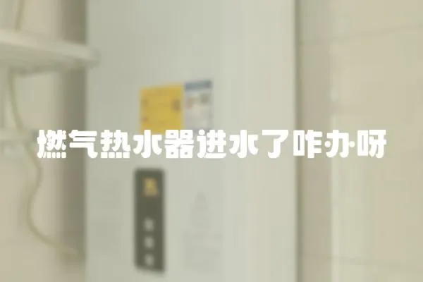 燃氣熱水器進水了咋辦呀