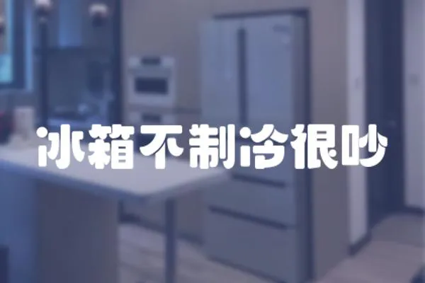 冰箱不制冷很吵