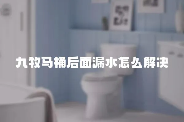 九牧馬桶后面漏水怎么解決