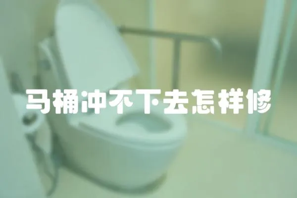 馬桶沖不下去怎樣修