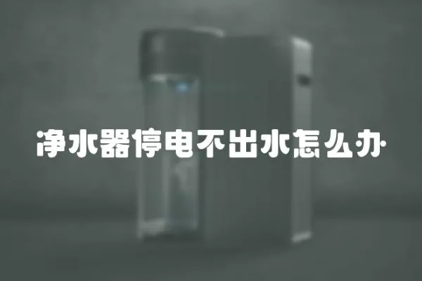 凈水器停電不出水怎么辦