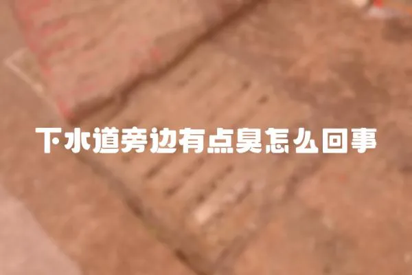 下水道旁邊有點臭怎么回事