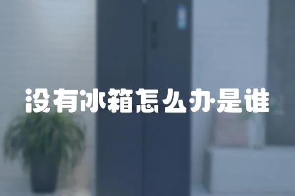 沒有冰箱怎么辦是誰