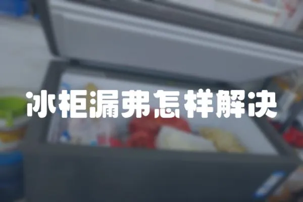 冰柜漏弗怎樣解決