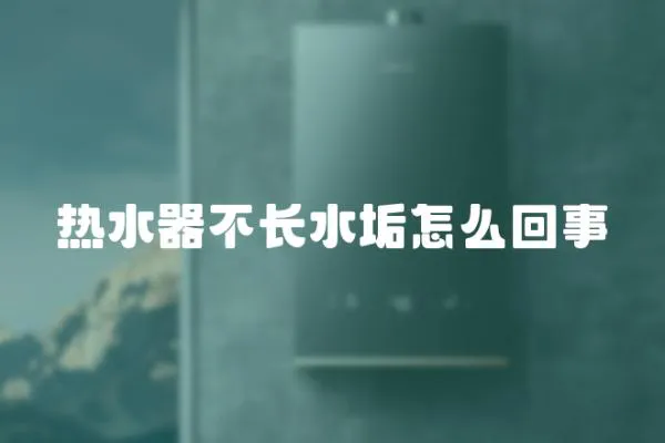 熱水器不長水垢怎么回事