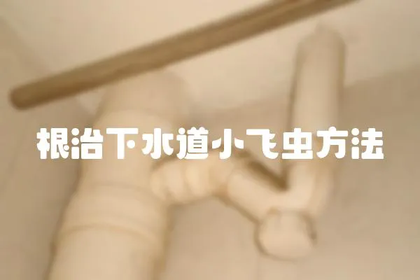 根治下水道小飛蟲方法