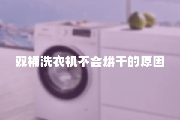 雙桶洗衣機(jī)不會烘干的原因