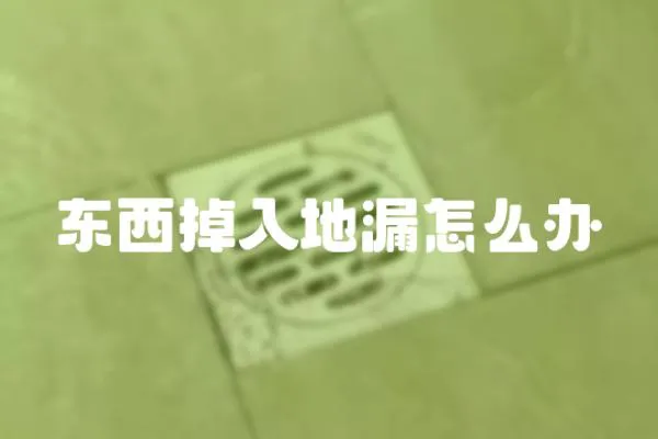 東西掉入地漏怎么辦