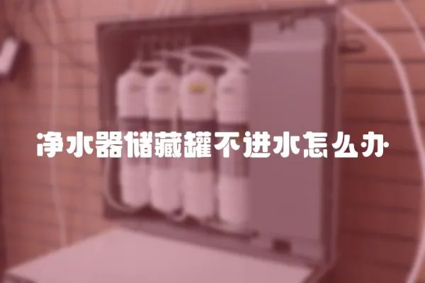 凈水器儲(chǔ)藏罐不進(jìn)水怎么辦