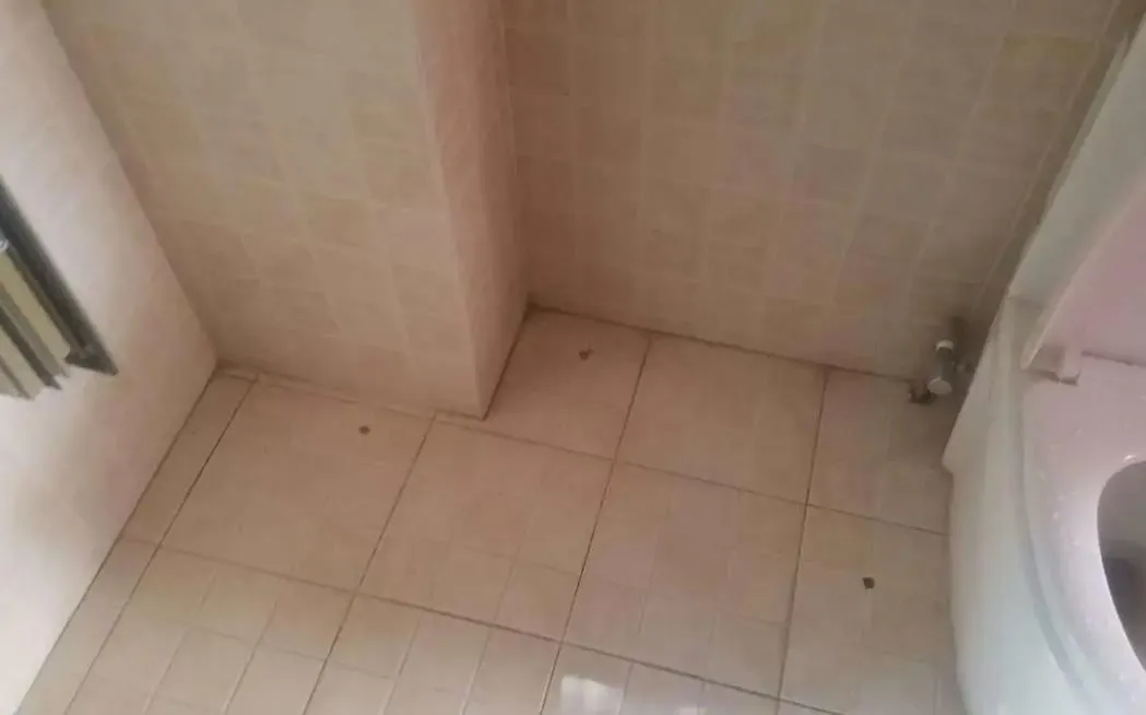 廁所漏水不砸地磚怎么處理