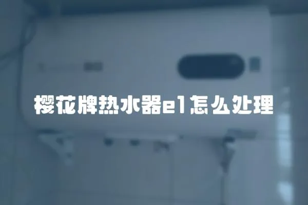 櫻花牌熱水器e1怎么處理