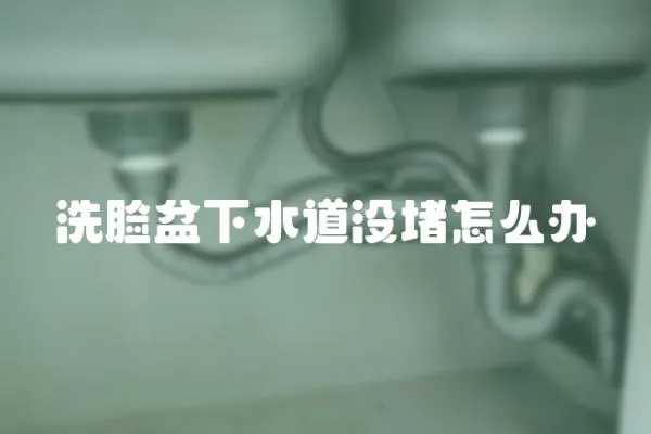 洗臉盆下水道沒堵怎么辦
