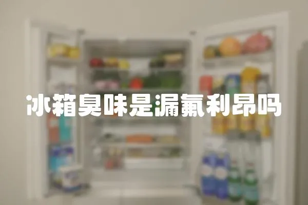 冰箱臭味是漏氟利昂嗎