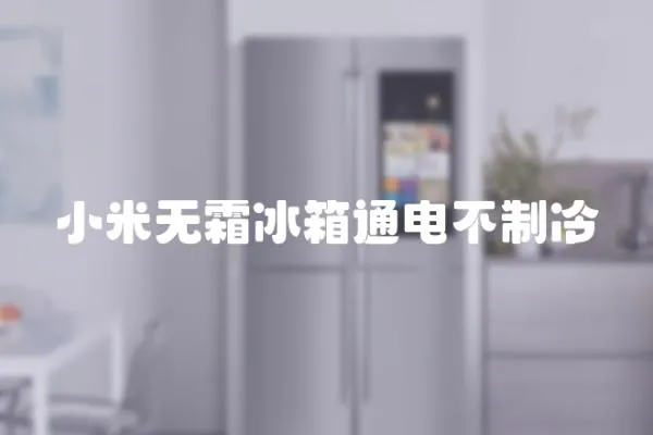 小米無(wú)霜冰箱通電不制冷