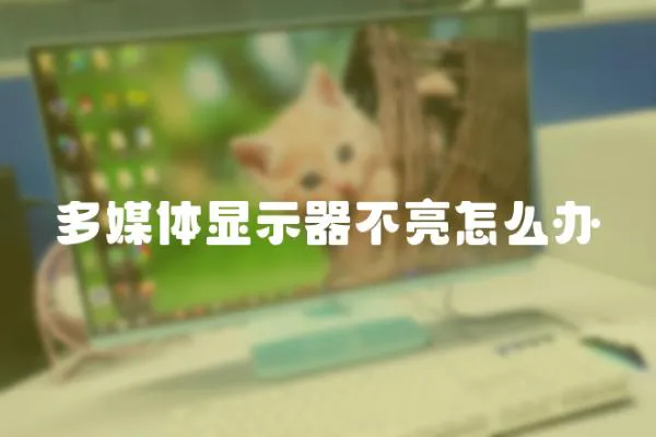 多媒體顯示器不亮怎么辦