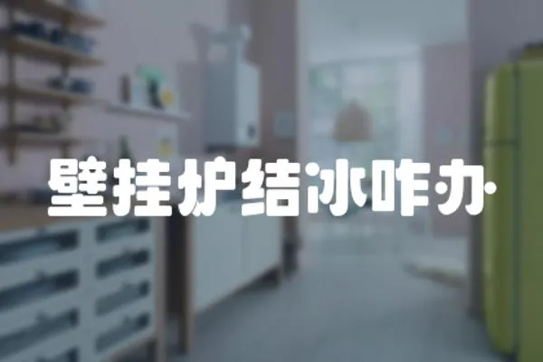 壁掛爐結冰咋辦