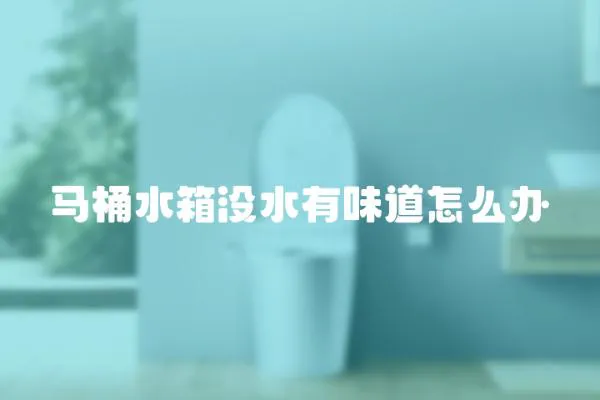 馬桶水箱沒水有味道怎么辦