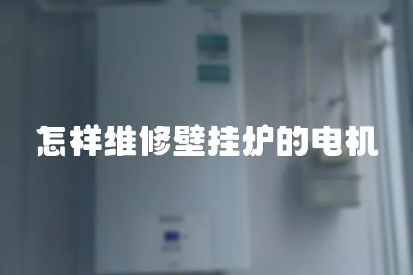 怎樣維修壁掛爐的電機