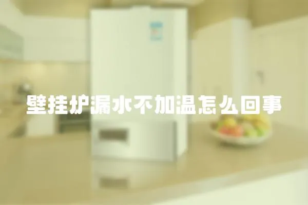 壁掛爐漏水不加溫怎么回事