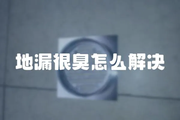 地漏很臭怎么解決
