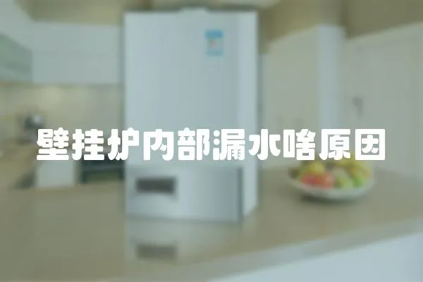 壁掛爐內部漏水啥原因