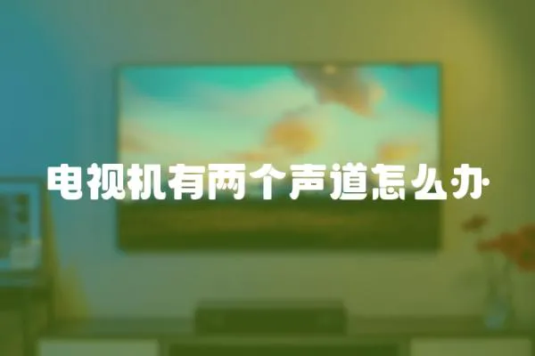 電視機(jī)有兩個(gè)聲道怎么辦